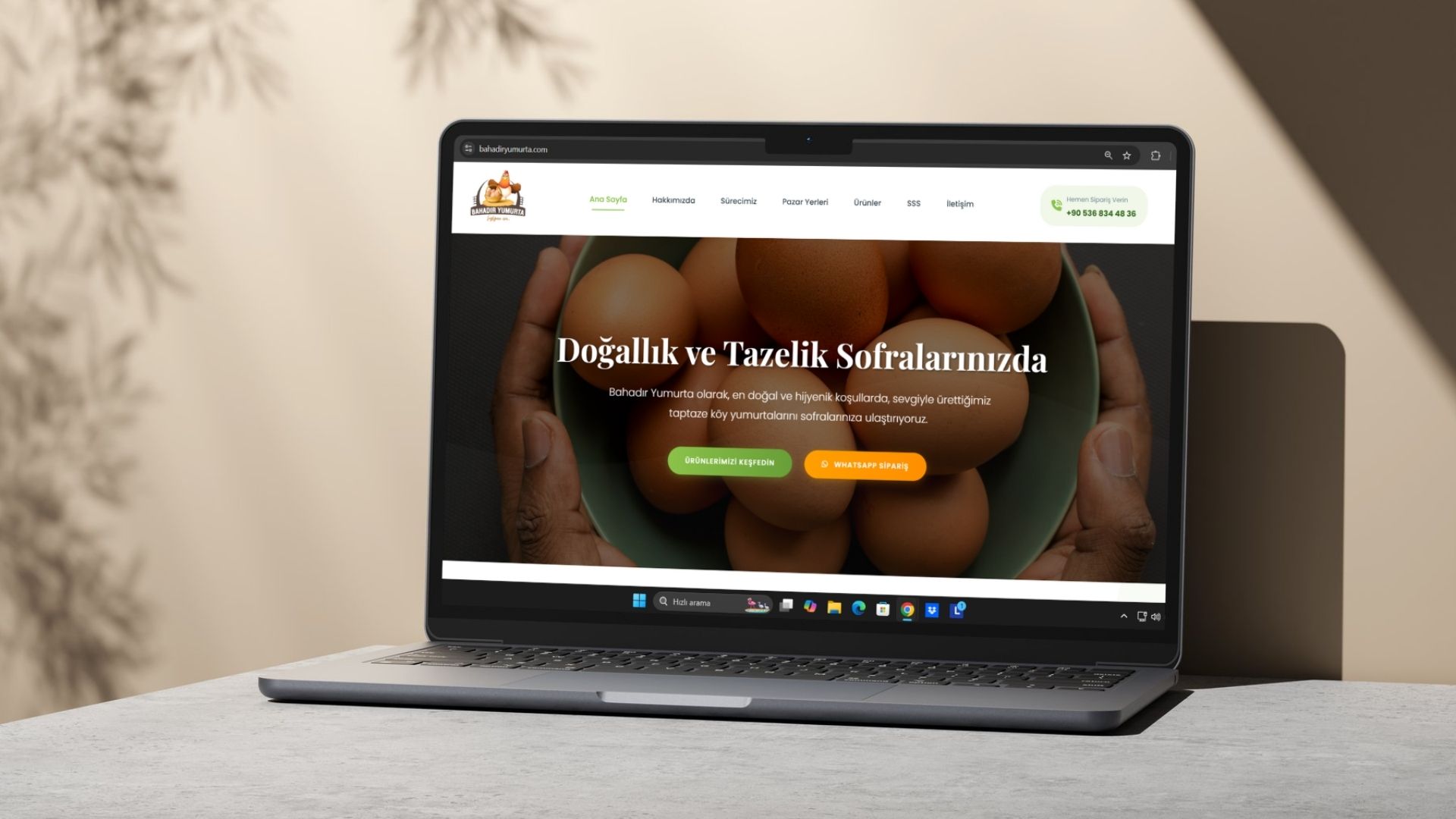 Bahadır Yumurta Web Sitesi Tasarımı